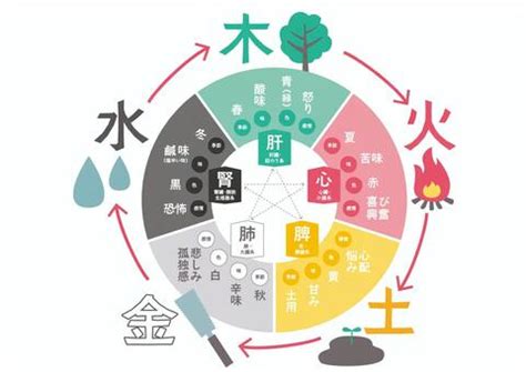 5行 火|五元素「木・火・土・金・水」の意味｜東洋医学と陰 